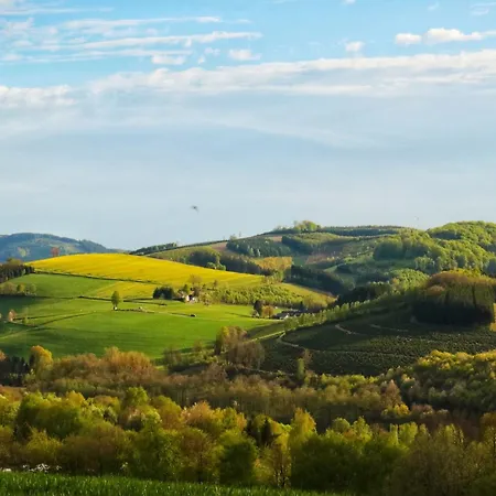 Ruhiger Am Hennesee Mit Terrasse Hébergement de vacances *
